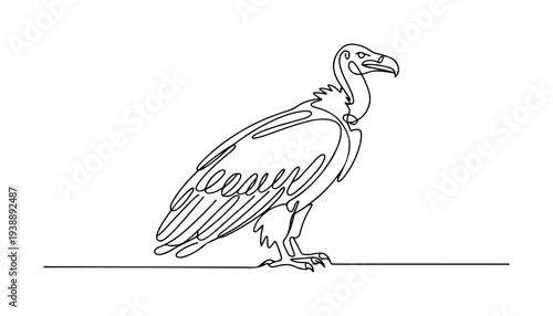 One continuous line illustration of an vulture bird , isolated on white background.