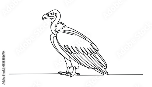 One continuous line illustration of an vulture bird , isolated on white background.