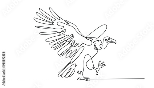 One continuous line illustration of an vulture bird , isolated on white background.