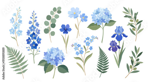 Hand-painted watercolor botanical illustration collage featuring blue hydrangea, delphinium, cornflower, and fern leaves on a white background.