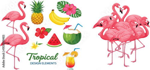 Tropical Flamingo and Exotic Fruit Vector Illustration Set with Pineapple Banana Watermelon Coconut and Summer Design Elements