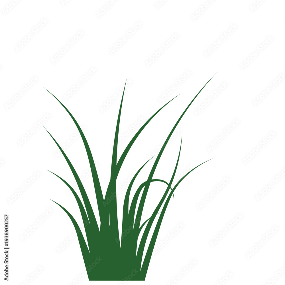 Fototapeta premium Green Grass Plant Illustration Isolated on Transparent Background