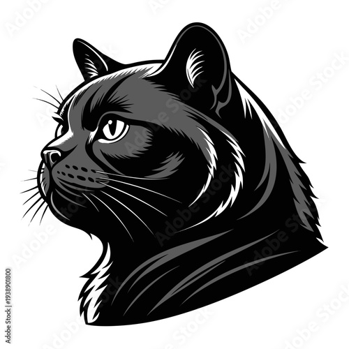 british shorthair cat silhouette vector, minimalist round doll face kitty, plush coat feline icon, flat expression domestic cat logo