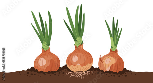 Set of three growing onions with green sprouts on brown soil, captured in a simple flat illustration style against a white background.