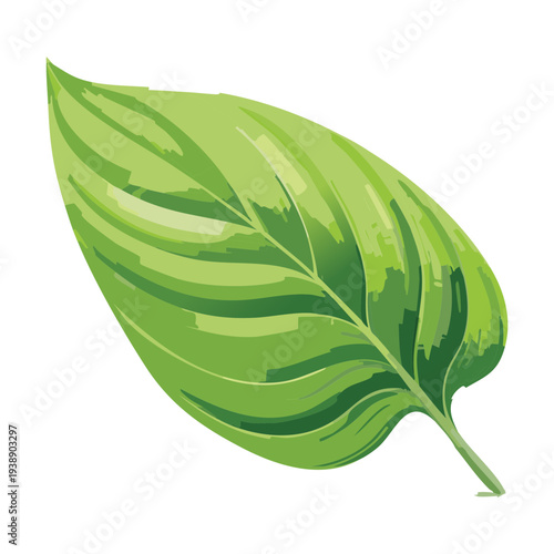 Large lush green leaf illustration for botanical decoration and natural forest themed graphic design and art projects
