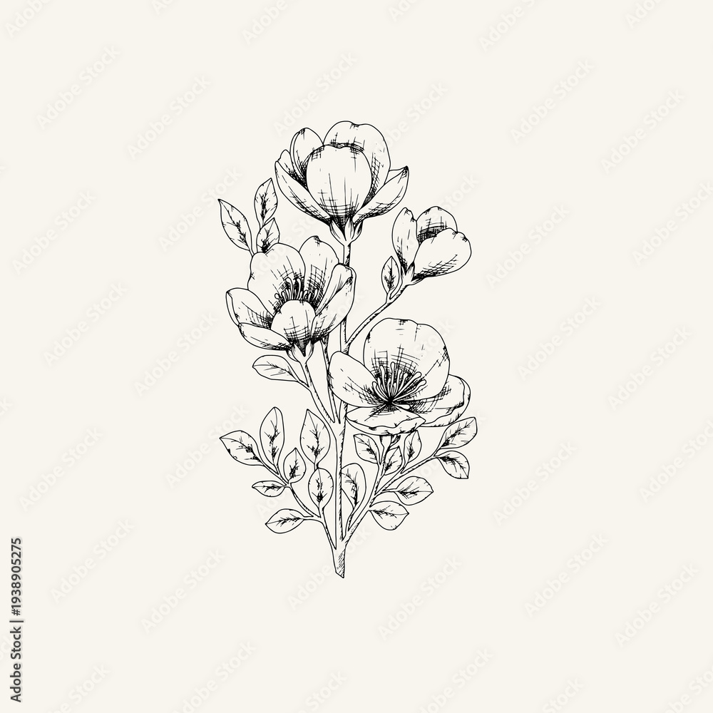Obraz premium Vintage Floral Bouquet Engraving Illustration