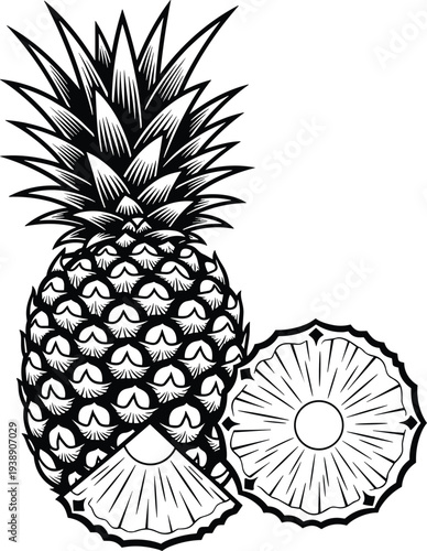 Pineapple fruit engraving style illustration, tropical fresh pineapple whole and sliced healthy organic food isolated flat vector illustration