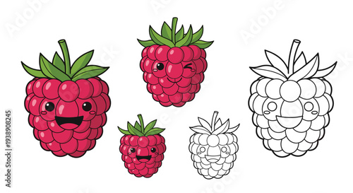 Set of cute raspberry characters including colored versions with various expressions and black and white outlines for a coloring book.