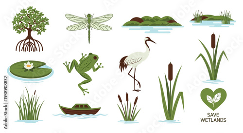 Collection of wetland flora fauna and related elements on a white background