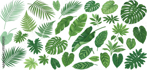 Collection of various green leaves and foliage displayed together in a visually appealing arrangement