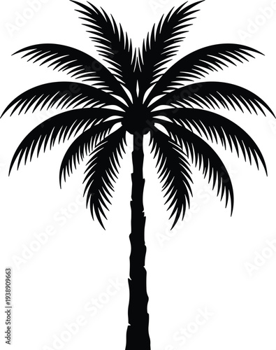 A lone palm tree stands tall against a clean backdrop, its silhouette a striking visual from a frontal viewpoint