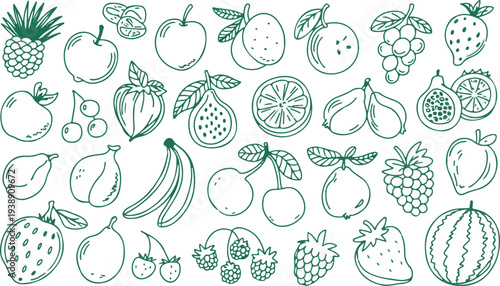 Fresh fruit collection hand drawn outlines of diverse tropical types