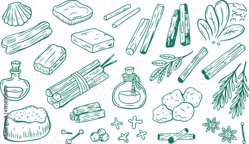 Aromatic spices and herbal ingredients sketch for culinary preparation