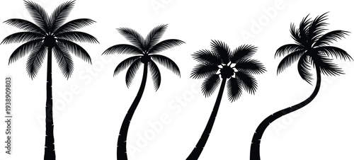 Four palm trees with varying heights and curved trunks against a clear sky viewed from a low angle