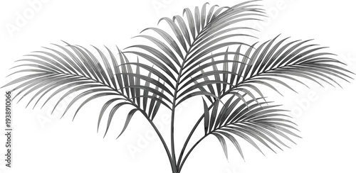 A serene palm tree stands tall with lush leaves swaying gently in the breeze, captured from a front viewpoint in a natural setting