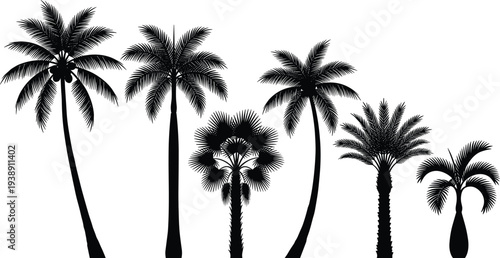 Silhouetted palm trees stand tall against a clear sky viewed from a low angle