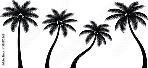 Four palm trees with curved trunks and lush canopies standing together in a serene landscape viewed from a distance