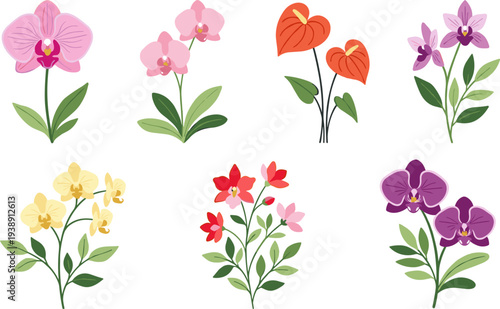 Colorful Orchid Flower Collection Vector Illustration Featuring Tropical Floral Plants, Botanical Garden Blossoms and Decorative Nature Design Elements
