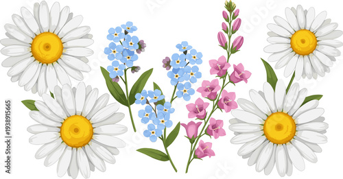Realistic Daisy and Wildflower Collection Vector Illustration Featuring Chamomile, Forget Me Not and Pink Garden Blossoms for Botanical Floral Design