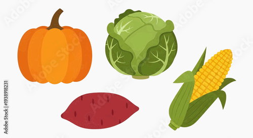 Vegetables and fruits on display including pumpkin corn cabbage sweet potato