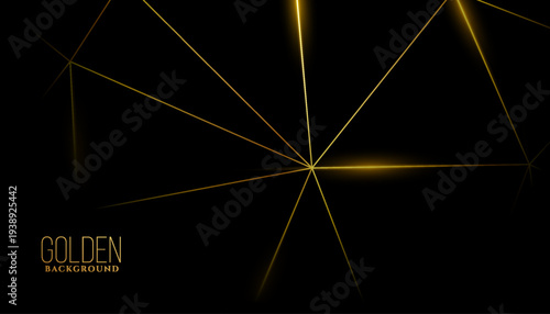 dark black background with abstract golden lines design