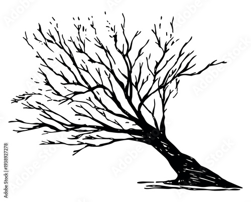 A curved silhouette that narrates the force of nature. The tree leans, but does not break, transforming the lash of the wind into a poetic and minimalist dance beneath the horizon.