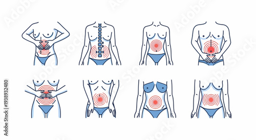 Anatomy diagrams illustrating internal organ pain locations for the human body's abdominal and thoracic regions