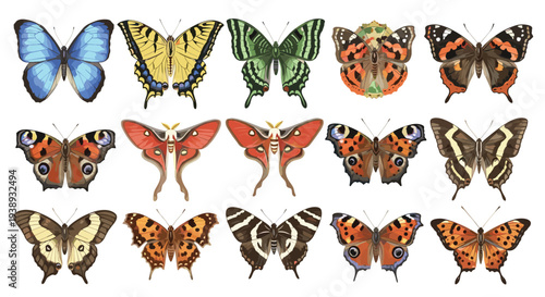 Collection of diverse and colorful butterflies and moths showcasing intricate patterns and vibrant hues against a clean white background