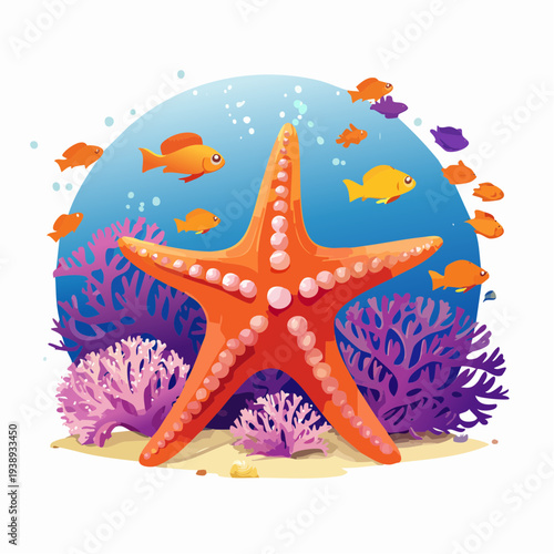 starfish and seashells