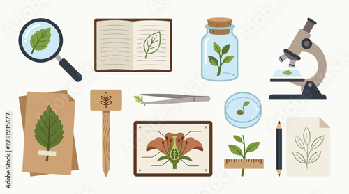 A collection of botanical illustration and scientific equipment for studying plants, including a magnifying glass, microscope, and plant samples.