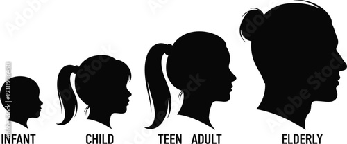 Human life stages silhouette, infant child teen adult elderly profile, aging process illustration, demographic concept, growth development, generational diversity icon