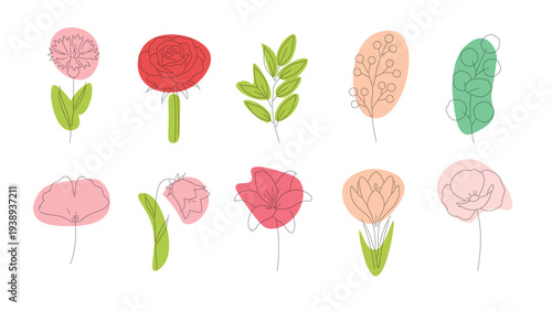 Set of minimalist floral vector illustrations featuring hand drawn flowers and leaves with soft pastel color shapes on white background