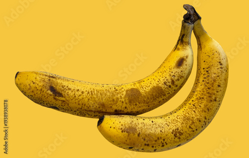 Wallpaper Mural バナナ_banana Torontodigital.ca