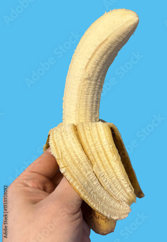 Wallpaper Mural バナナ_banana Torontodigital.ca