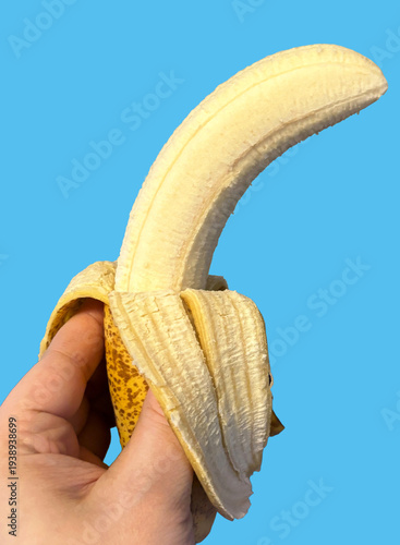 Wallpaper Mural バナナ_banana Torontodigital.ca