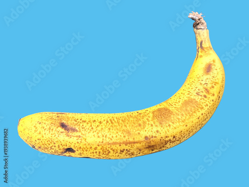 Wallpaper Mural バナナ_banana Torontodigital.ca