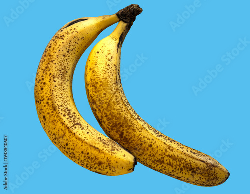 Wallpaper Mural バナナ_banana Torontodigital.ca