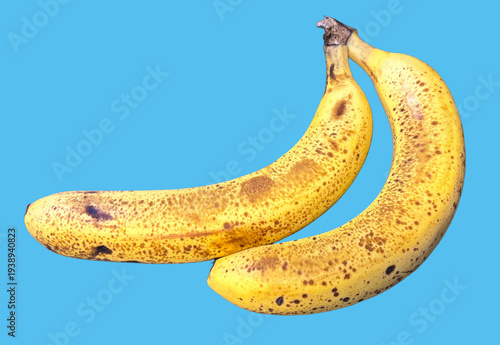 Wallpaper Mural バナナ_banana Torontodigital.ca