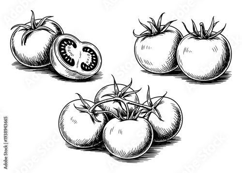 Hand-drawn of ripe tomatoes, one sliced, on a white background