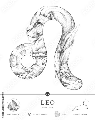 Modern magic witchcraft card with astrology Leo zodiac sign characteristic. Hand drawing art product. Vector illustration
