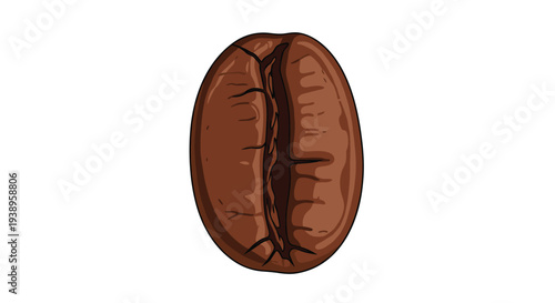 Detailed close up of a single dark roasted coffee bean with its characteristic central groove and rich brown color in a vector drawing.