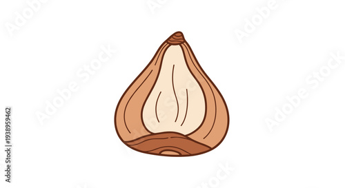 Detailed illustration of a chestnut bulb cross section showing the inner white nut and brown outer layers of the plant.