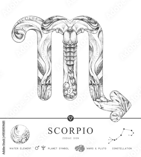 Modern magic witchcraft card with astrology Scorpio zodiac sign characteristic. Hand drawing art product. Vector illustration