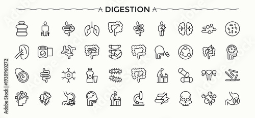 Set of Digestion line icon. Gastric minimalist linear icons. Line icons with editable stroke. Health icon set. Editable vector art and illustration.