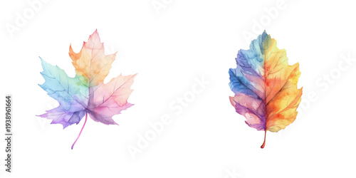 abstract color silhouette of autumn leaf watercolor vector illustration