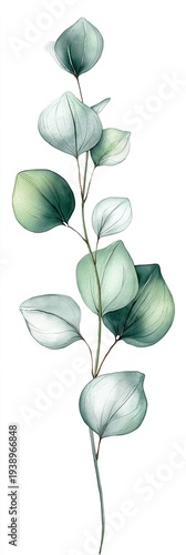 Delicate watercolor eucalyptus branch with soft green and blue leaves