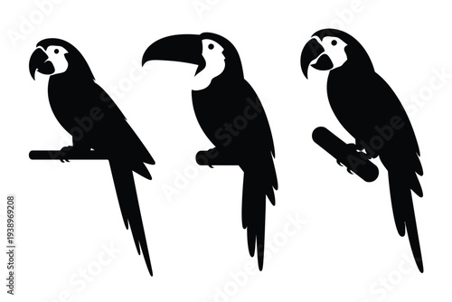 Three black parrot silhouettes on branches bird
