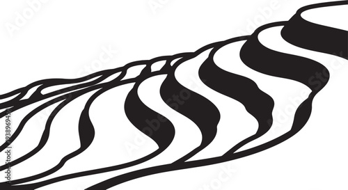 Abstract terraced field vector illustration with black contour lines depicting organic land shapes vector illustration