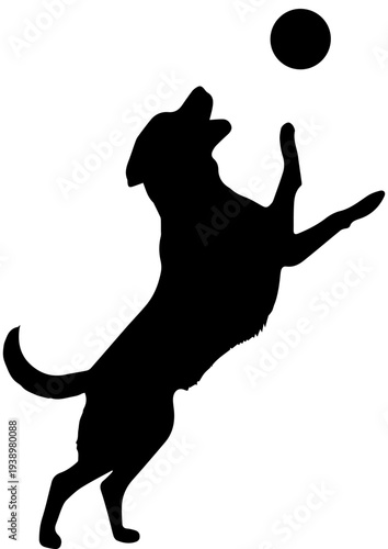Dog Catching Ball Silhouette Vector