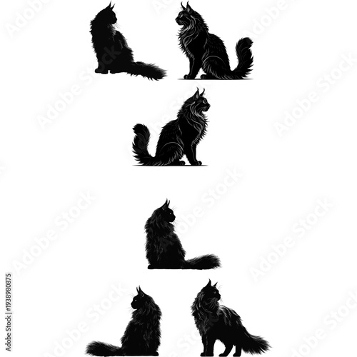 Majestic Maine Coon Cat Silhouette with Long Fur and Lion Mane Isolated on White Background